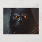 Cartes Postales Chat capuche ポストカード (正面)