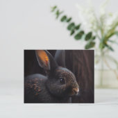 Cartes Postales Lapin ポストカード (スタンド正面)