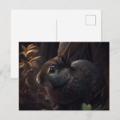 Cartes Postales Lapin ポストカード (正面/裏面)