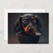 Cartes Postales Puppy Divers ポストカード (正面/裏面)