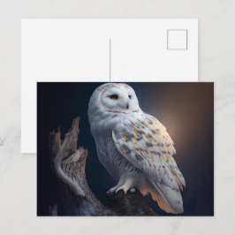 Cartes Postales snowy owl ポストカード
