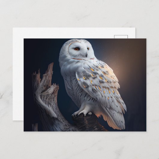 Cartes Postales snowy owl ポストカード (正面/裏面)