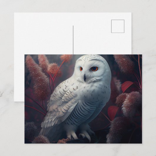 Cartes Postales snowy owl ポストカード (正面/裏面)