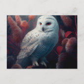 Cartes Postales snowy owl ポストカード (正面)