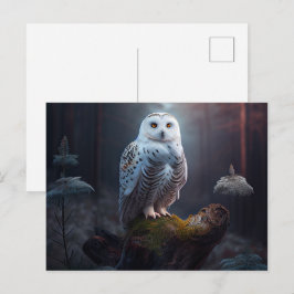 Cartes Postales snowy owl ポストカード