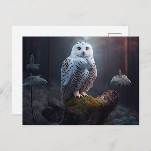 Cartes Postales snowy owl ポストカード (正面/裏面)