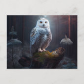 Cartes Postales snowy owl ポストカード (正面)