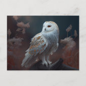 Cartes Postales snowy owl ポストカード (正面)