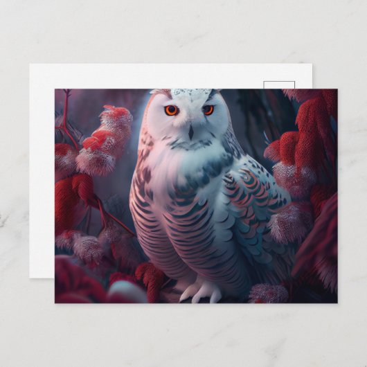 Cartes Postales snowy owl ポストカード (正面/裏面)