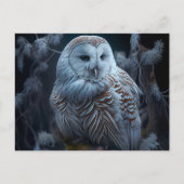 Cartes Postales snowy owl ポストカード (正面)