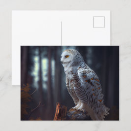 Cartes Postales snowy owl ポストカード