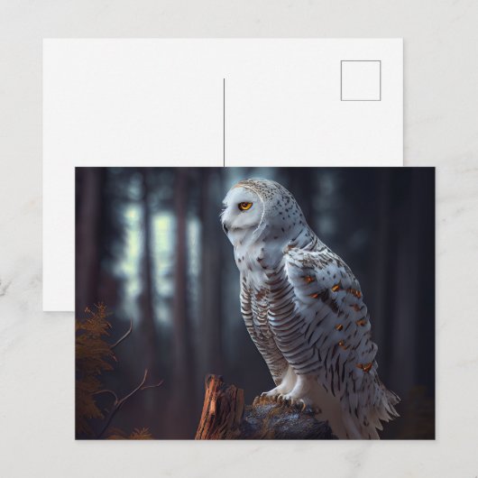 Cartes Postales snowy owl ポストカード (正面/裏面)