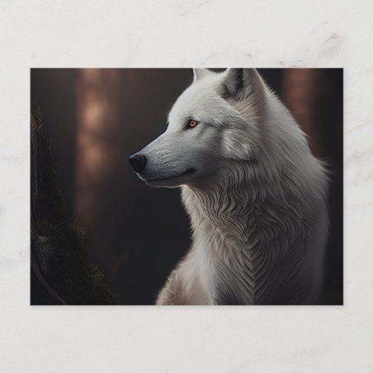 Cartes Postales  White Wolf ポストカード (正面)