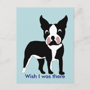 Cartoon Boston Terierはがき ポストカード