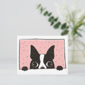 Cartoon Boston Terrier at the Windowはがき ポストカード (スタンド正面)