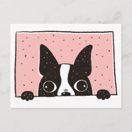 Cartoon Boston Terrier at the Windowはがき ポストカード