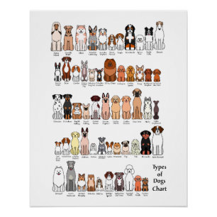 cartoon dog breeds poster ポスター