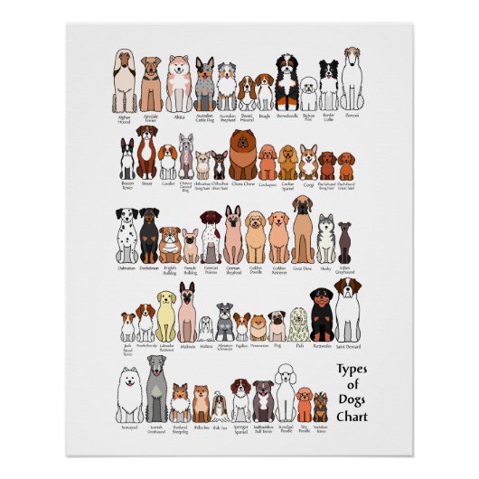 cartoon dog breeds poster ポスター (正面)