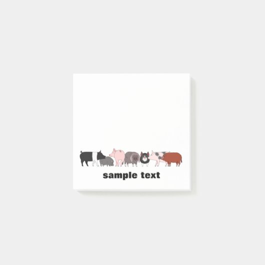 cartoon pig group post it ポストイット (正面)