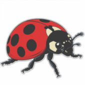 Cartoon Red Ladybug Cute Insect Character シール (正面)