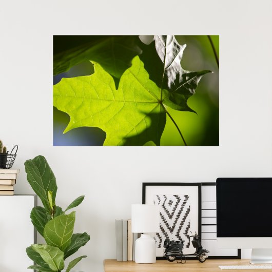 Carulmare Maple Leaf CC0041ポスター ポスター (ホームオフィス)