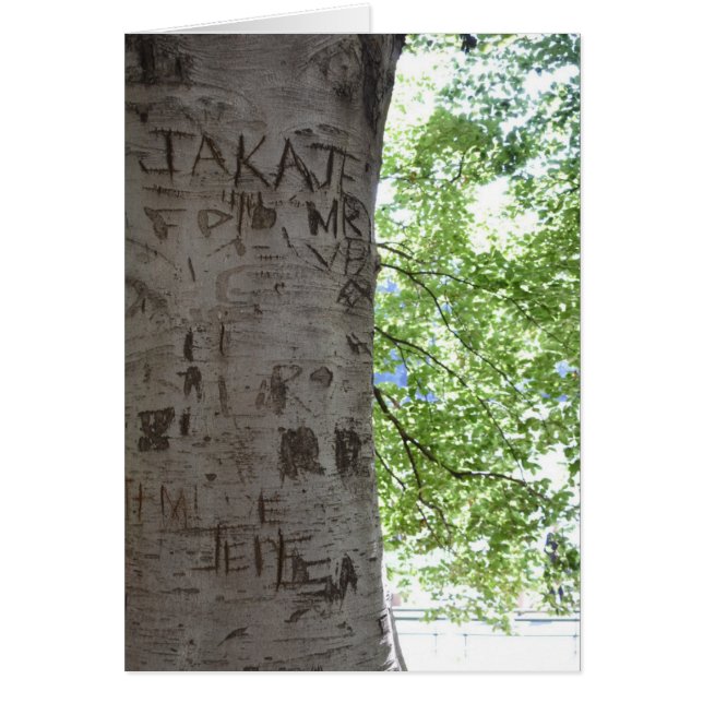 Carved in a Tree Central Park自然写真 (正面)