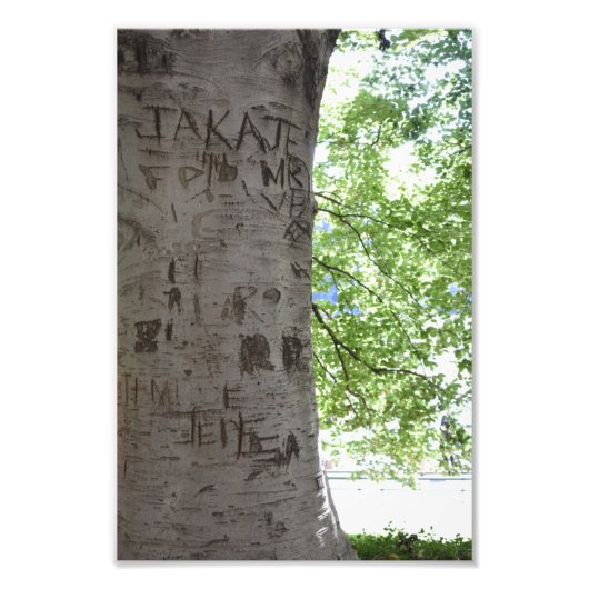 Carved in a Tree Central Park自然写真 フォトプリント (正面)