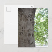 Carved in a Tree Central Park自然写真 ポストカード (正面/裏面)