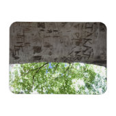 Carved in a Tree Central Park自然写真 マグネット (横)