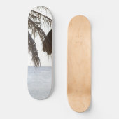 Cas Abao – 熱帯ビーチ脱出#2 #ocean #wall スケートボード (正面)