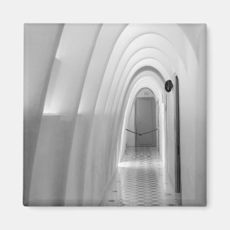 Casa Batllo Attic Magnet：バルセロナ マグネット