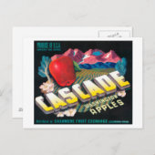 Cascade Apple Label （青） – カシミア，ワシントン ポストカード (正面/裏面)