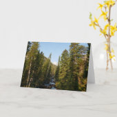 Cascade Creek at Grand Teton カード (黄色い花)