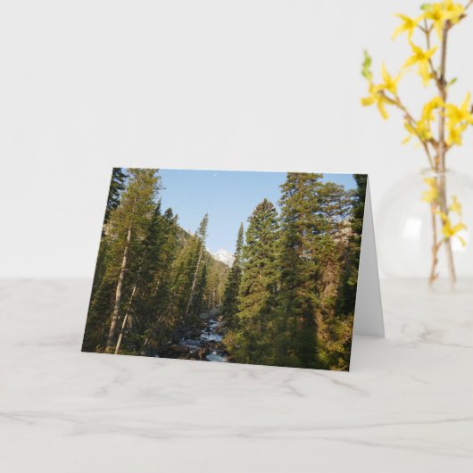 Cascade Creek at Grand Teton カード (黄色い花)