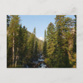 Cascade Creek at Grand Teton ポストカード (正面)
