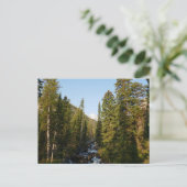 Cascade Creek at Grand Teton ポストカード (スタンド正面)