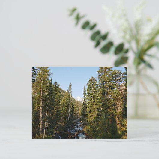 Cascade Creek at Grand Teton ポストカード (スタンド正面)