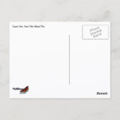 Cascade Creek at Grand Teton ポストカード (裏面)