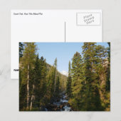 Cascade Creek at Grand Teton ポストカード (正面/裏面)