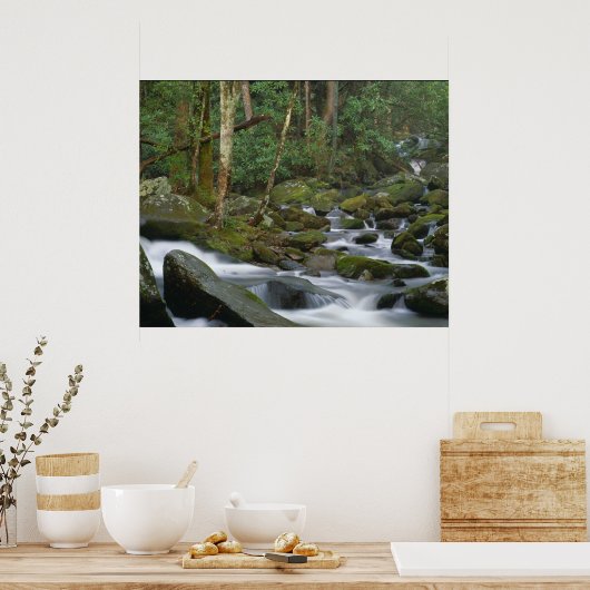 Cascade in Cosby ポスター (キッチン)