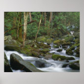 Cascade in Cosby ポスター (正面)