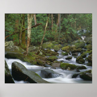 Cascade in Cosby ポスター