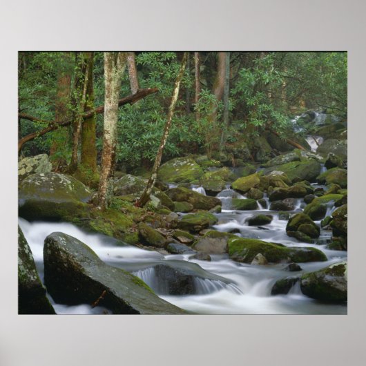 Cascade in Cosby ポスター (正面)