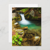 Cascade on Hare Creek，カリフォルニア ポストカード (正面/裏面)