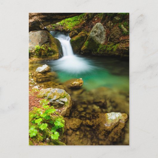 Cascade on Hare Creek，カリフォルニア ポストカード (正面)