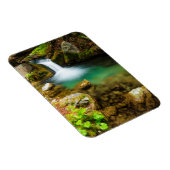 Cascade on Hare Creek，カリフォルニア マグネット (右側)