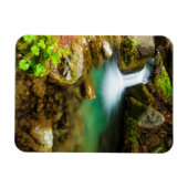 Cascade on Hare Creek，カリフォルニア マグネット (横)