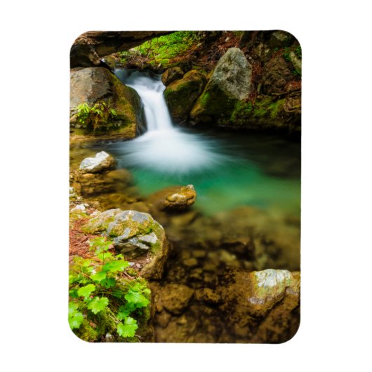 Cascade on Hare Creek，カリフォルニア マグネット (縦)