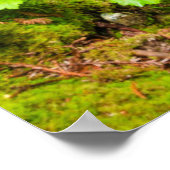 Cascade on Hare Creek, California ポスター (角)