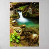 Cascade on Hare Creek, California ポスター (正面)